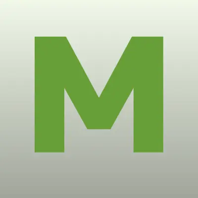 Мойка М1